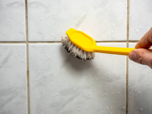 Best Attic Mold Removal  in Livingston, CA