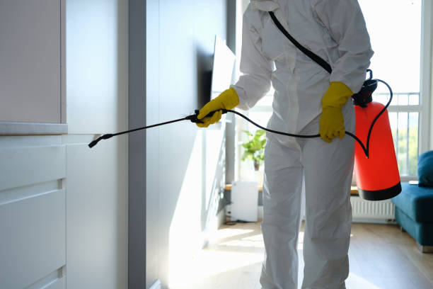 Best Home Mold Removal  in Livingston, CA