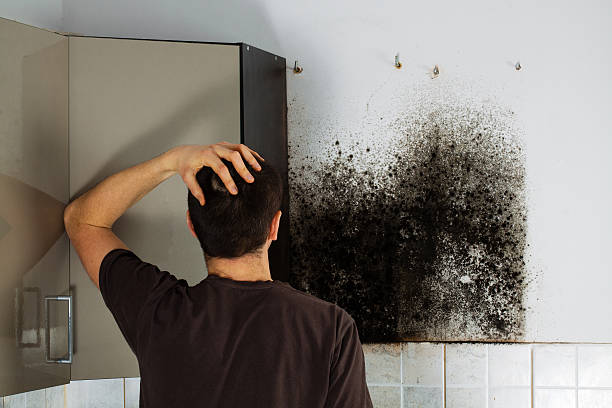 Best Residential Mold Removal  in Livingston, CA